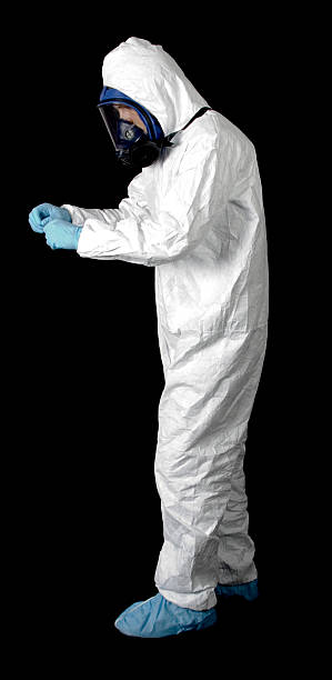 Reliable Cactus Flats, AZ Mold Removal Solutions