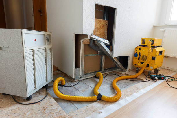 Best Post-Remediation Verification Testing  in Cactus Flats, AZ